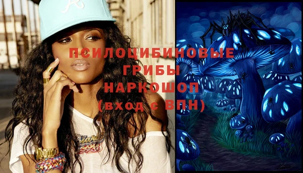 прущие крисы Зеленодольск